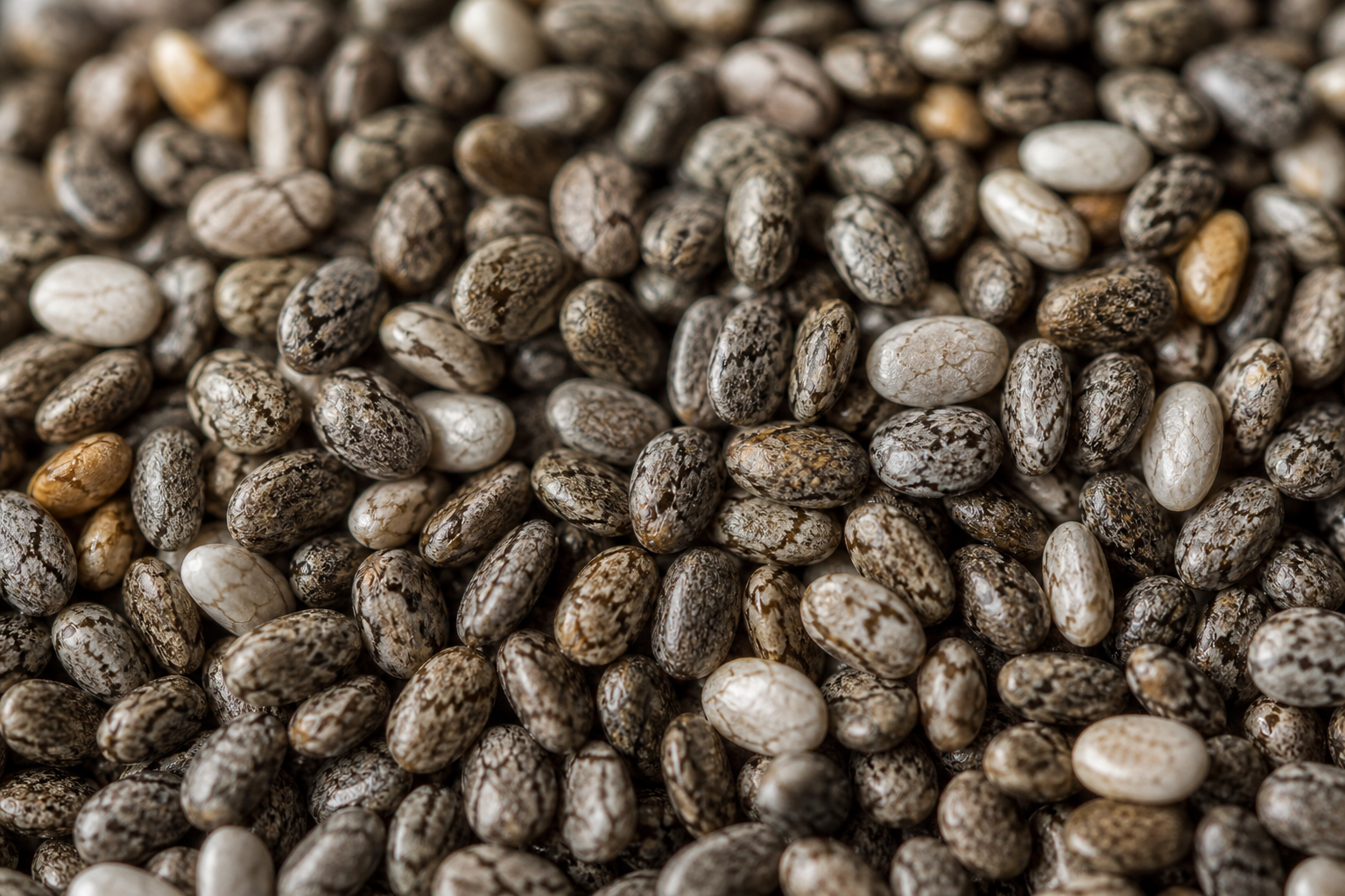 Chia seeds used in Mystical Wellness Nourishments